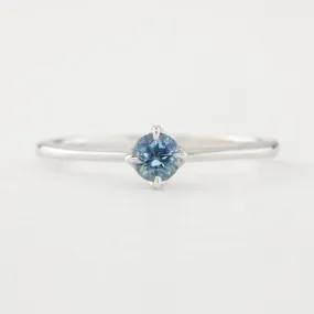 Alice Ring 4mm 0.35ct Blue Montana Sapphire, 14k White Gold