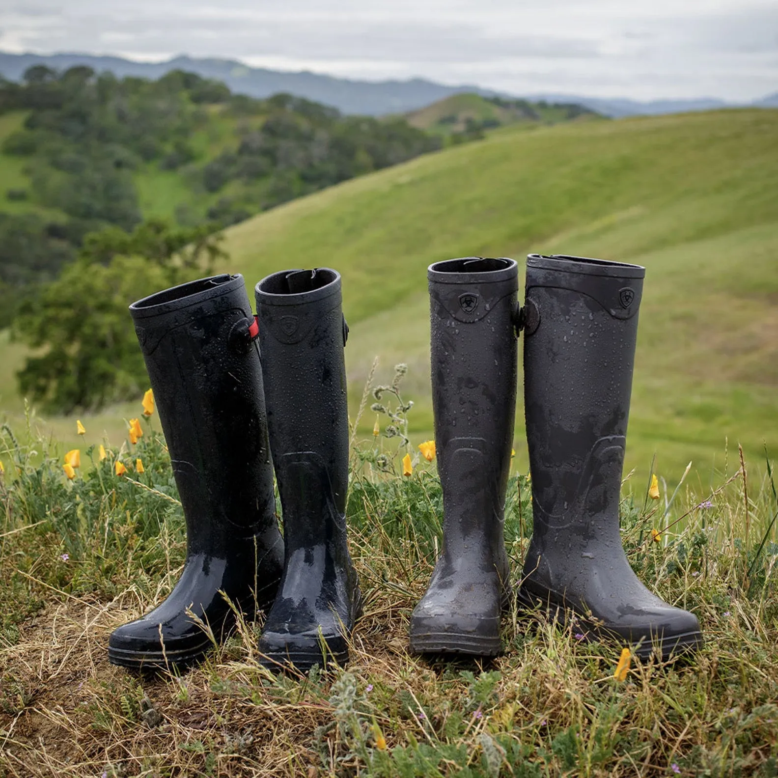 Ariat Womens Kelmarsh Wellington Boots