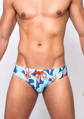 Caribbean Twist Swim Brief (V10)