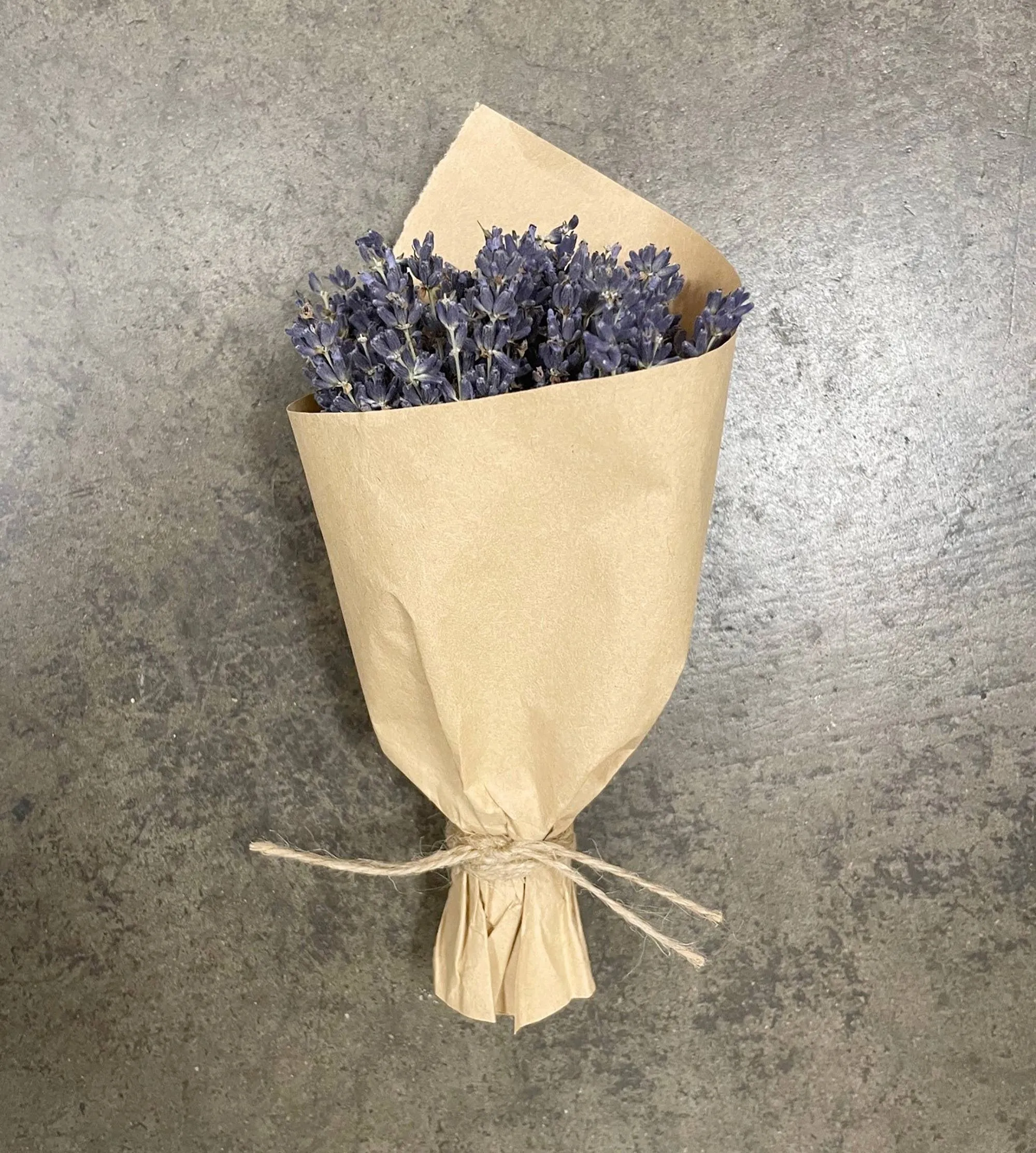 Mini French Lavender Bundle