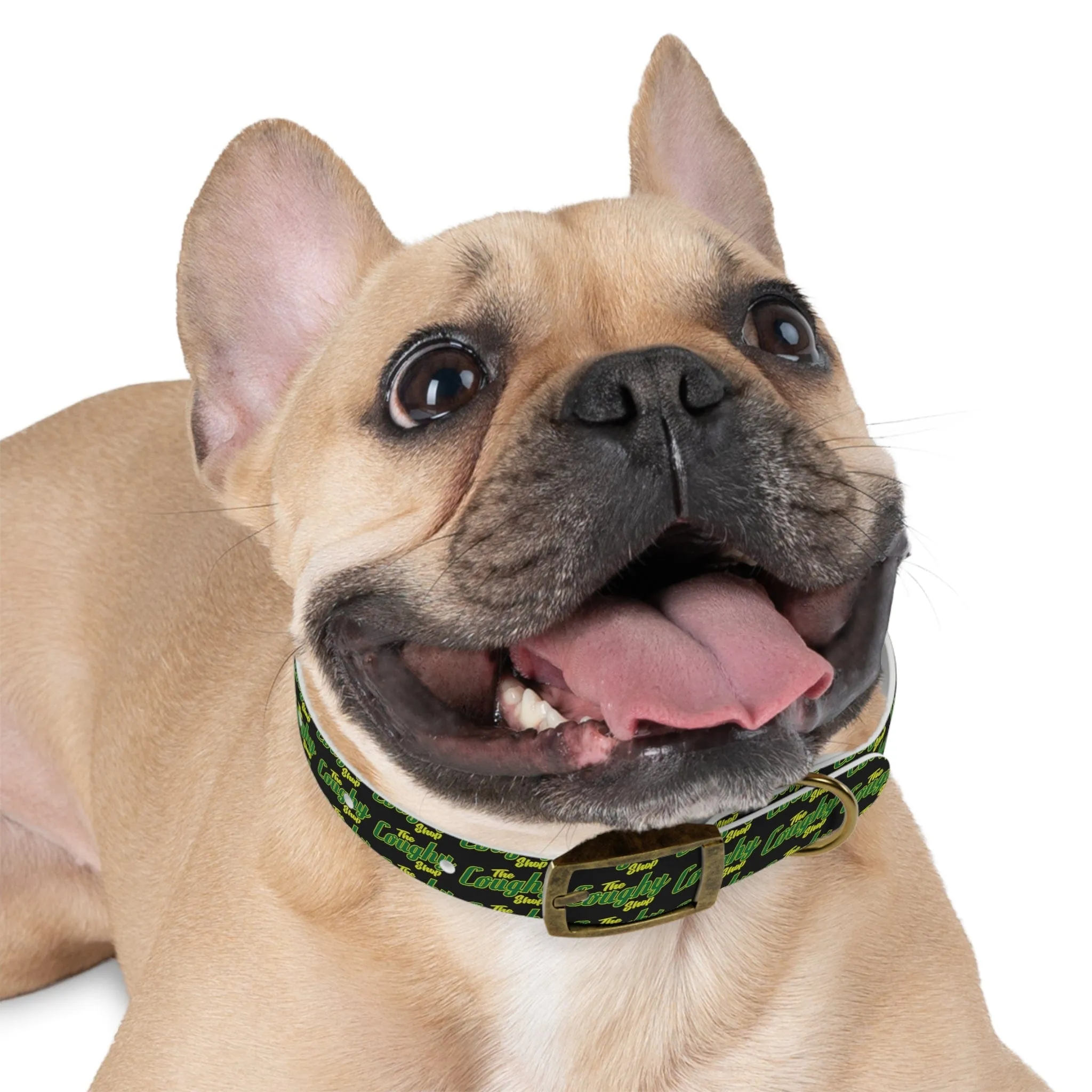 The Coughy Shop Dog Collar