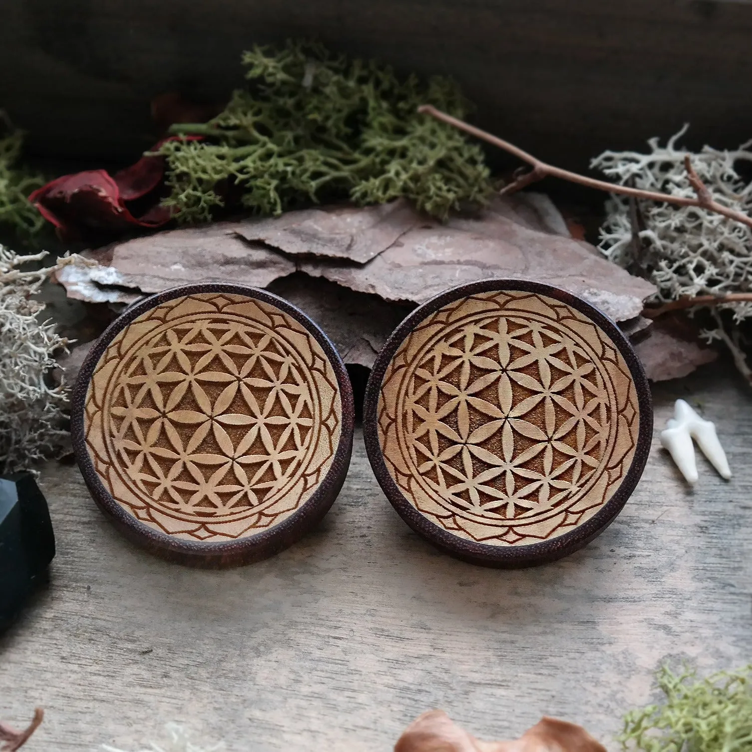 Wooden Flower of Life Plugs